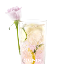 gin tonic rose MONIN