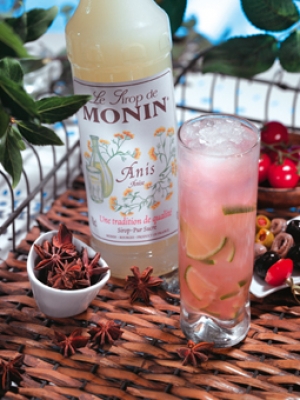 MONIN Anise syrup ambiant