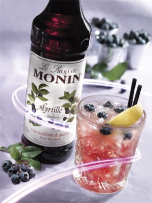 MONIN Blueberry syrup ambiant