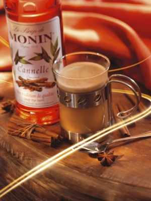 MONIN Cinnamon syrup ambiant