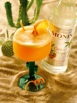 MONIN Triple Sec Curacao syrup ambiant