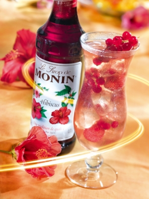 MONIN Hibiscus syrup ambiant