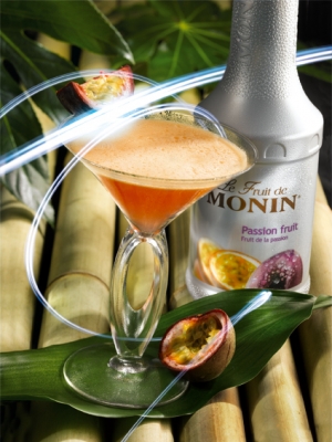 Le Fruit de MONIN Passion Fruit bottle