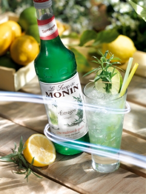 MONIN Tarragon syrup ambiant