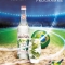 World Cup Poster