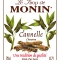 MONIN Cinnamon syrup label
