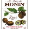 MONIN Kiwi syrup label