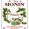 MONIN Pistachio syrup label