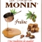 MONIN Praline syrup
