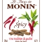 MONIN Spicy syrup