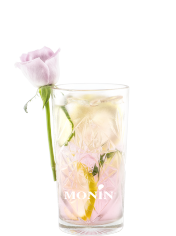 gin tonic rose monin
